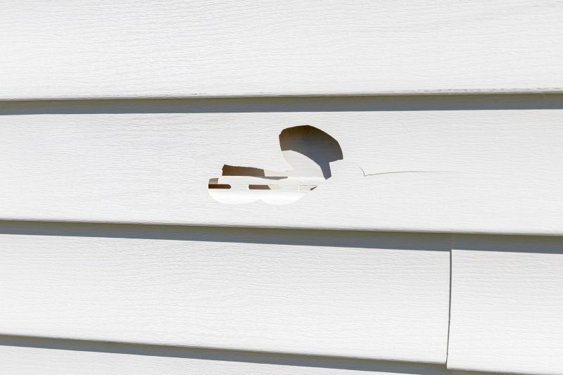 Damaged Vinyl Siding Replacement